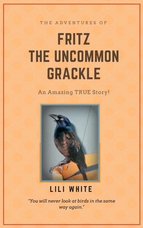 Cover of the book Fritz the Uncommon Grackle by Lili White, Lili White