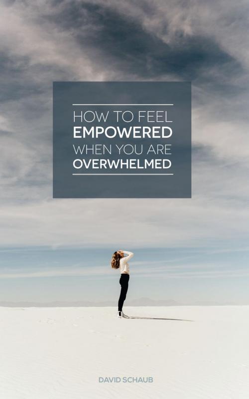 Cover of the book How To Feel Empowered When You Are Overwhelmed by DAVID SCHAUB, DAVID SCHAUB