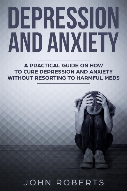 Cover of the book Depression and Anxiety: A Practical Guide on How to Cure Depression and Anxiety Without Resorting to Harmful Meds by John Roberts, John Roberts