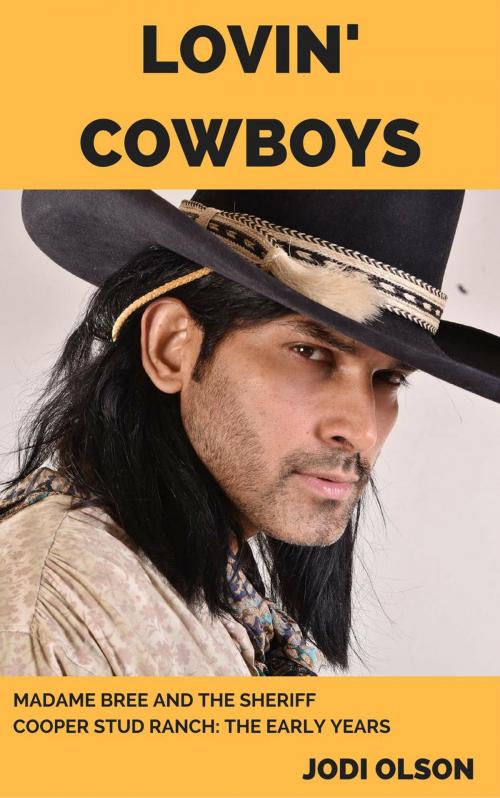 Cover of the book Lovin' Cowboys by Jodi Olson, Jodi Olson