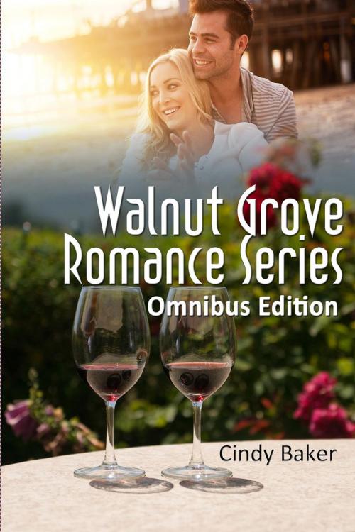 Cover of the book THE WALNUT GROVE ROMANCE SERIES BOXED SET by Cindy Baker, Cindy Baker Books