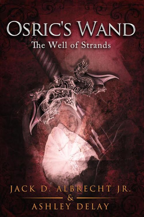Cover of the book The Well of Strands by Jack D. ALBRECHT Jr., Ashley Delay, CoWrite LLC