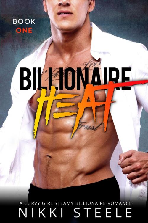 Cover of the book Billionaire Heat Book One by Nikki Steele, NightVision Publishing