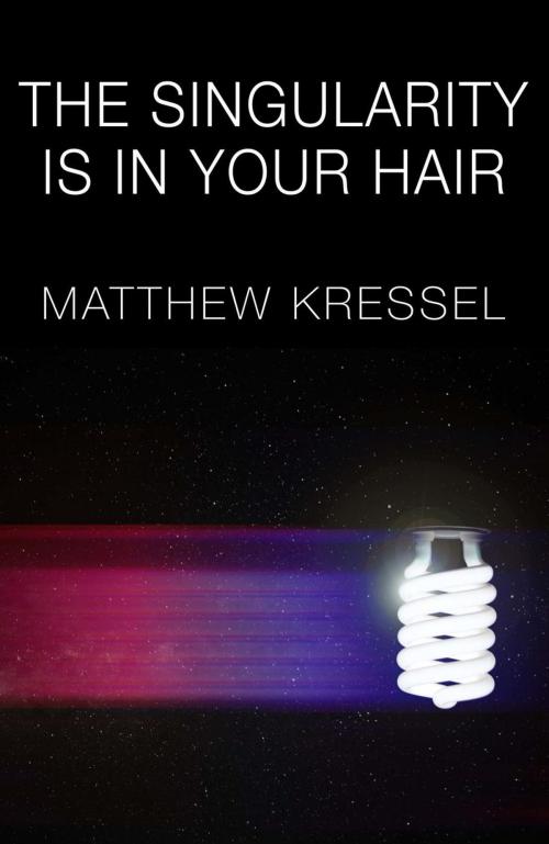 Cover of the book The Singularity is in Your Hair by Matthew Kressel, Matthew Kressel