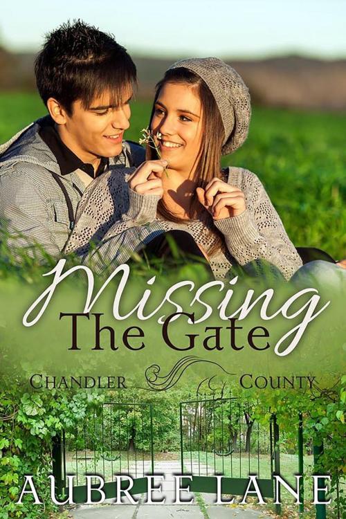 Cover of the book Missing the Gate by Aubree Lane, Aubree Lane