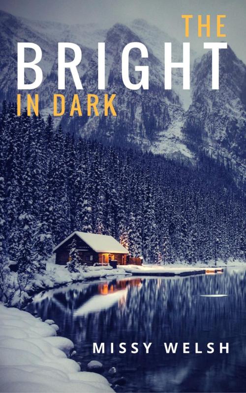Cover of the book The Bright In Dark by Missy Welsh, Missy Welsh