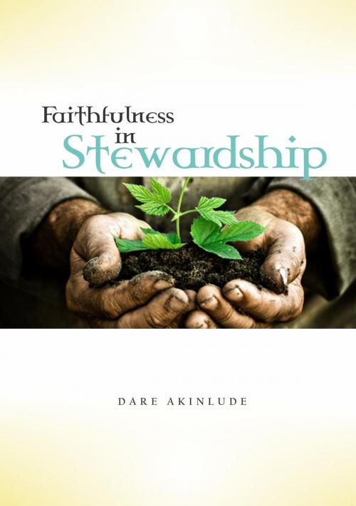 Cover of the book Faithfulness in Stewardship by Dare Akinlude, Dare Akinlude