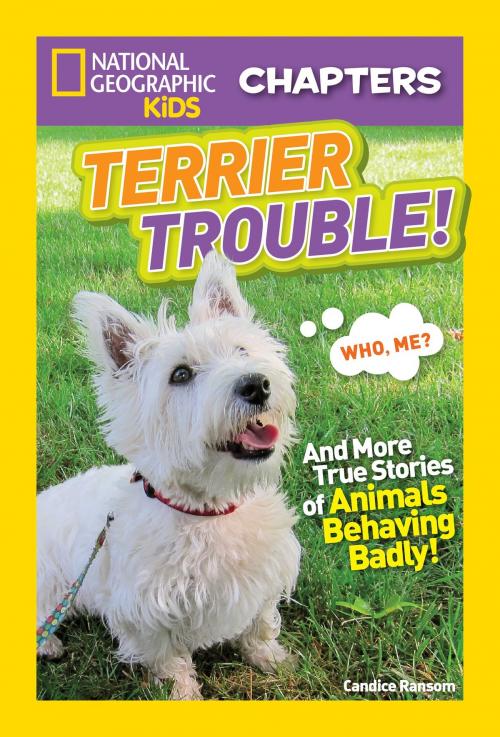 Cover of the book National Geographic Kids Chapters: Terrier Trouble! by Candice Ransom, National Geographic Society