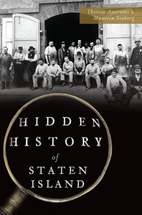Cover of the book Hidden History of Staten Island by Maureen Seaberg, Theresa Anarumo, Arcadia Publishing Inc.