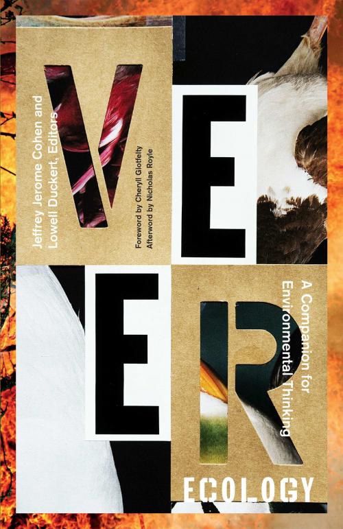 Cover of the book Veer Ecology by , University of Minnesota Press