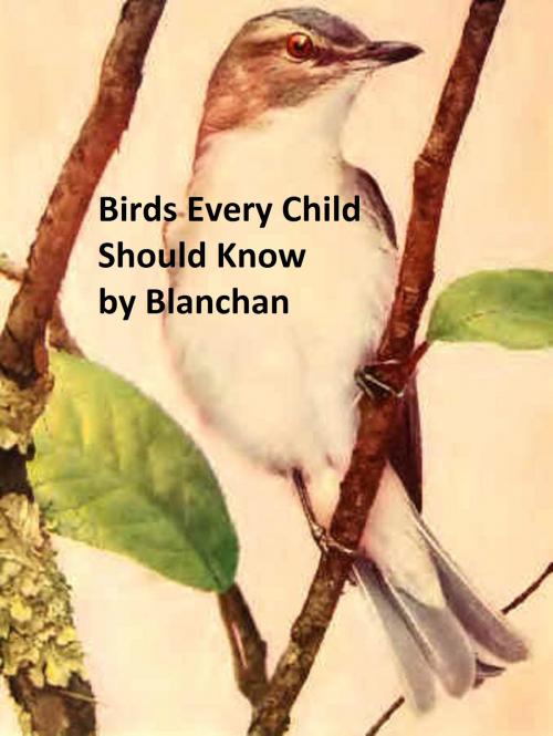 Cover of the book Birds Every Child Should Know, Illustrated by Neltje Blanchan, Seltzer Books