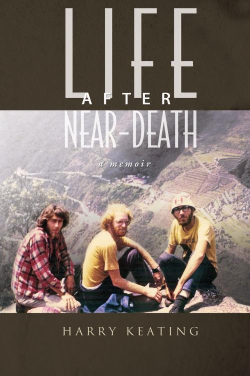 Cover of the book Life After Near-Death by Harry Keating, Essence Publishing