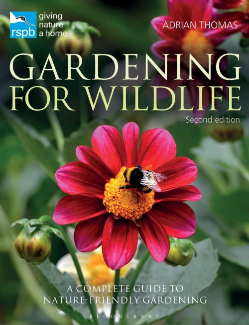 Cover of the book RSPB Gardening for Wildlife by Adrian Thomas, Bloomsbury Publishing