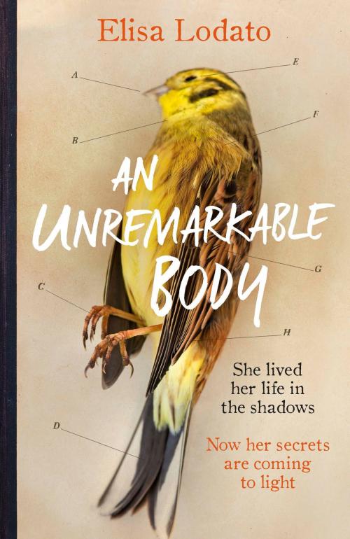 Cover of the book An Unremarkable Body by Elisa Lodato, Orion Publishing Group