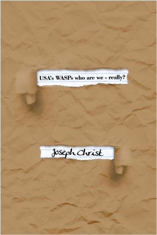 Cover of the book USA’s WASPs who are we- really? by Joseph Christ, Dorrance Publishing