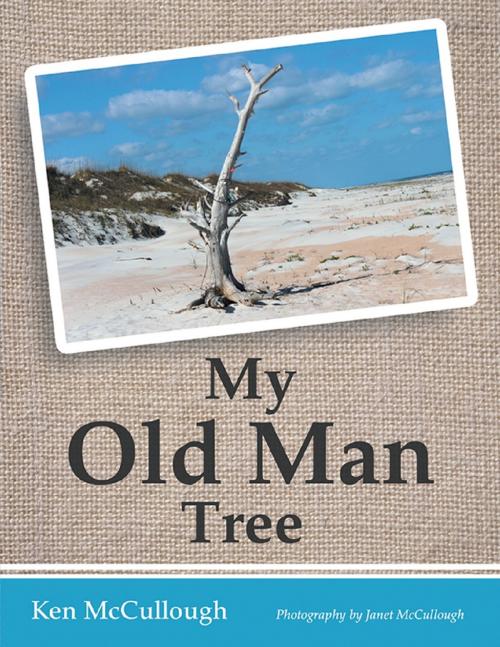 Cover of the book My Old Man Tree by Ken McCullough, Janet McCullough, Lulu Publishing Services