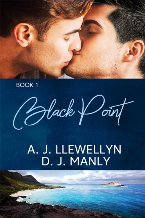 Cover of the book Black Point by A.J. Llewellyn, D.J. Manly, eXtasy Books Inc
