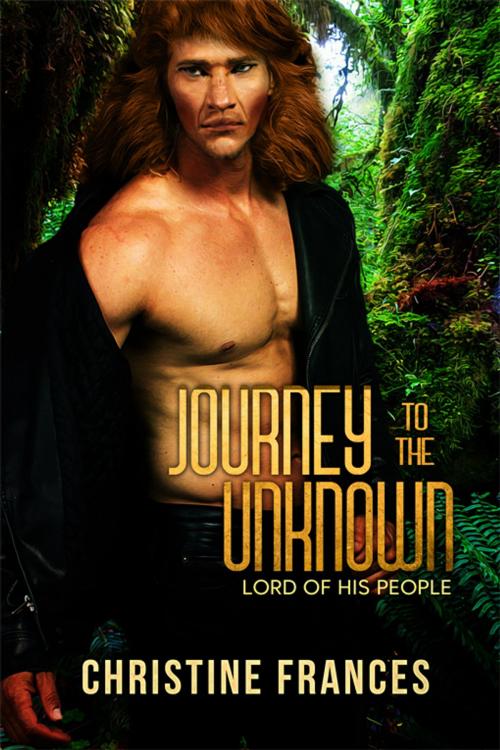 Cover of the book Journey to the Unknown by Christine Frances, eXtasy Books Inc