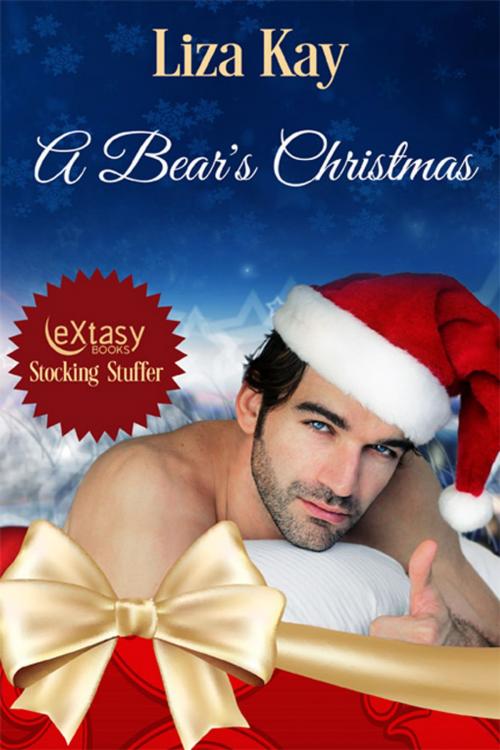Cover of the book A Bear's Christmas by Liza Kay, eXtasy Books Inc