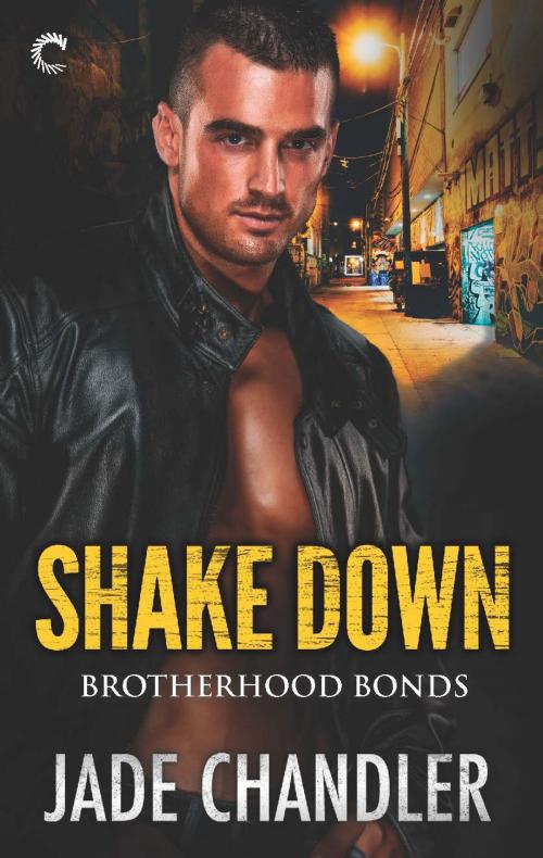 Cover of the book Shake Down by Jade Chandler, Carina Press