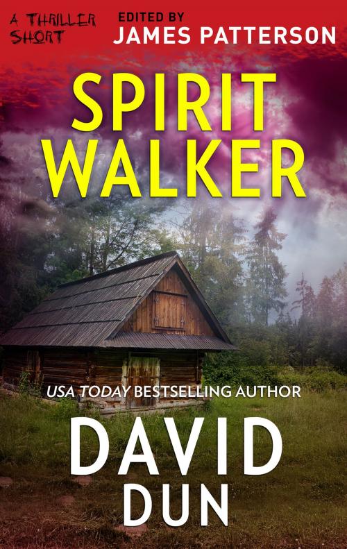 Cover of the book Spirit Walker by David Dun, MIRA Books