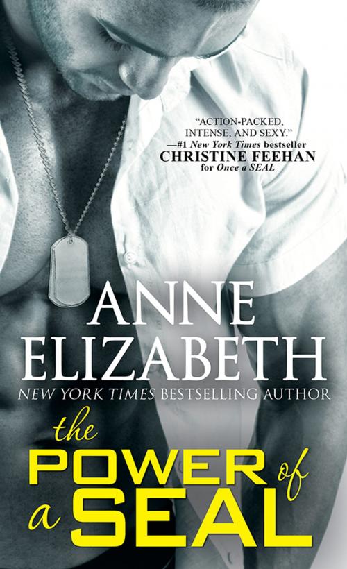 Cover of the book The Power of a SEAL by Anne Elizabeth, Sourcebooks