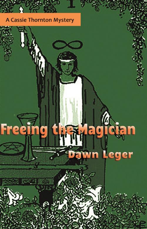 Cover of the book Freeing the Magician by Dawn Leger, FastPencil, Inc.