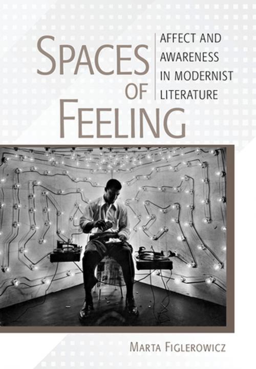 Cover of the book Spaces of Feeling by Marta Figlerowicz, Cornell University Press