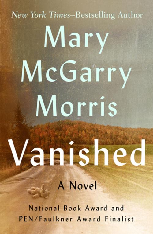 Cover of the book Vanished by Mary McGarry Morris, Open Road Media