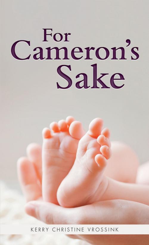 Cover of the book For Cameron’S Sake by Kerry Christine Vrossink, Balboa Press AU