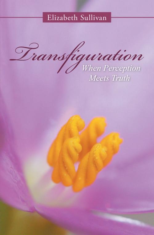 Cover of the book Transfiguration by Elizabeth Sullivan, Balboa Press
