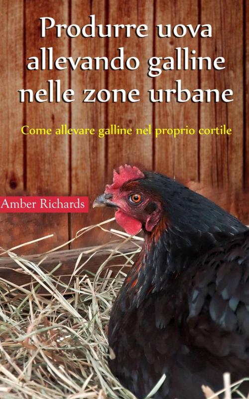 Cover of the book Produrre uova allevando galline nelle zone urbane by Amber Richards, Babelcube Inc.