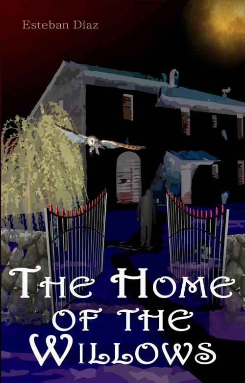 Cover of the book The Home of the Willows by ESTEBAN DÍAZ, Babelcube Inc.