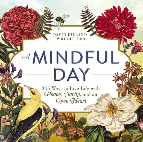 Cover of the book A Mindful Day by David Dillard-Wright, Adams Media