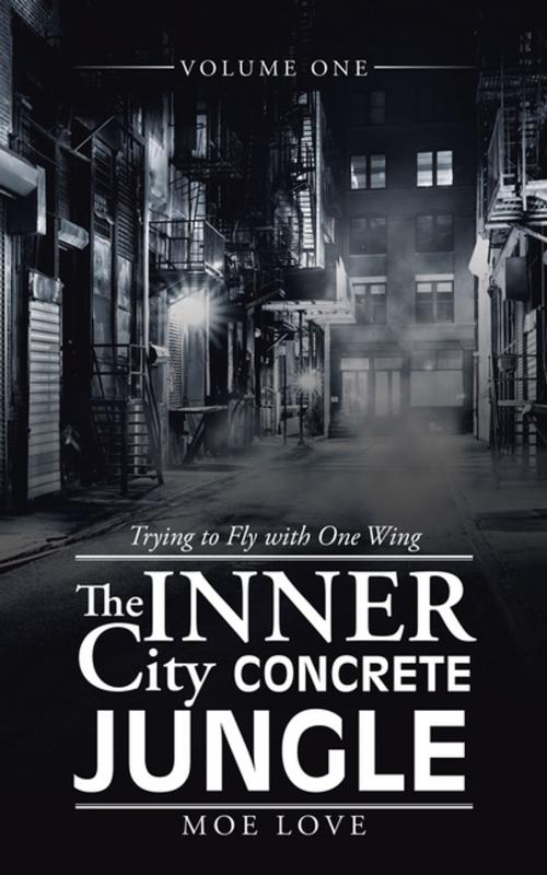 Cover of the book The Inner City Concrete Jungle by Moe Love, iUniverse