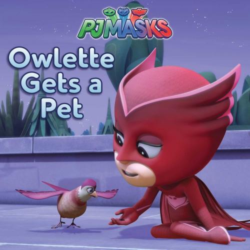Cover of the book Owlette Gets a Pet by Maggie Testa, Simon Spotlight
