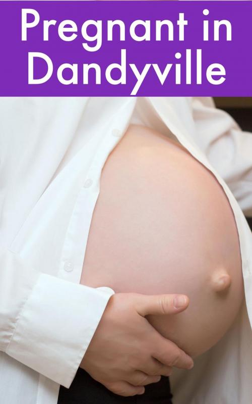 Cover of the book Pregnant in Dandyville by Sophia Elle, Sophia Elle