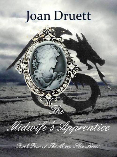 Cover of the book The Midwife's Apprentice by JOAN DRUETT, Old Salt Press