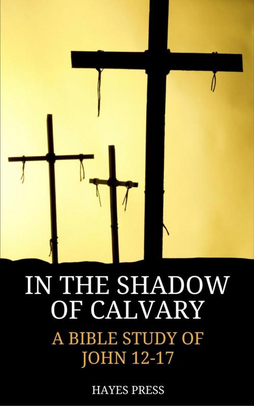 Cover of the book In the Shadow of Calvary: A Bible Study of John 12-17 by Hayes Press, Hayes Press