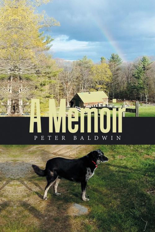 Cover of the book A Memoir by Peter Baldwin, Xlibris US