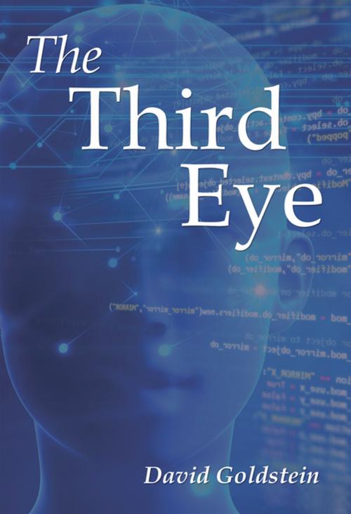 Cover of the book The Third Eye by David Goldstein, Xlibris US