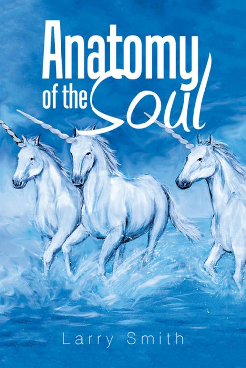 Cover of the book Anatomy of the Soul by Larry Smith, Xlibris US
