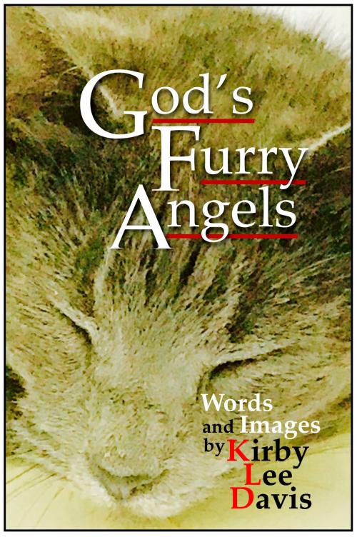 Cover of the book God's Furry Angels by Kirby Lee Davis, BookBaby