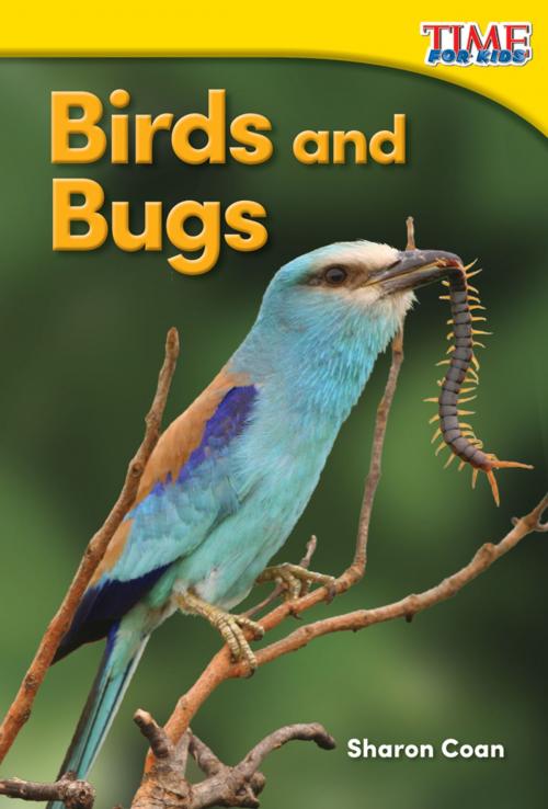 Cover of the book Birds and Bugs by Sharon Coan, Teacher Created Materials