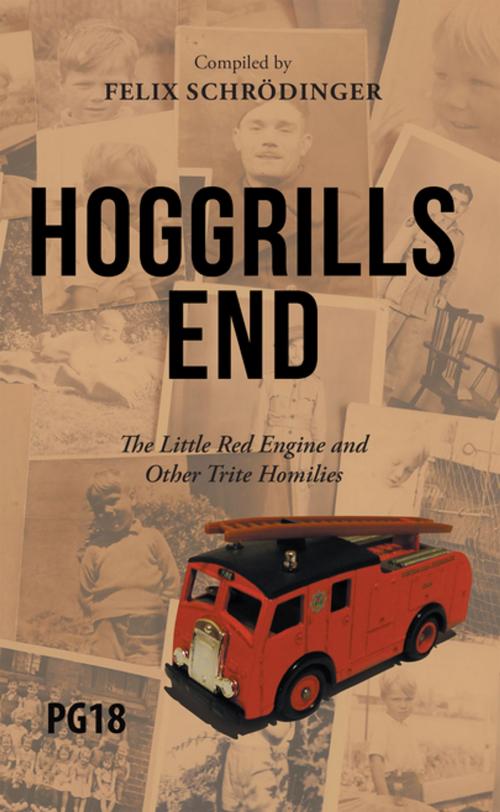Cover of the book Hoggrills End by Felix Schrödinger, AuthorHouse UK