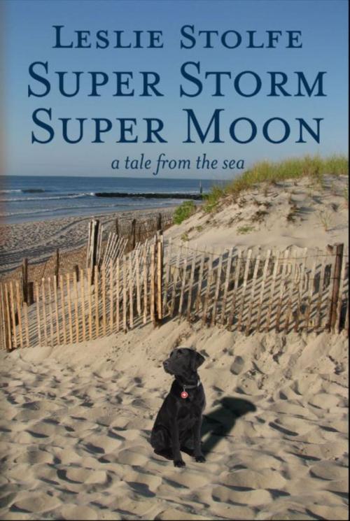 Cover of the book Super Storm Super Moon by Leslie Stolfe, Gatekeeper Press