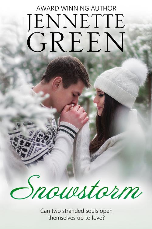 Cover of the book Snowstorm by Jennette Green, Diamond Press