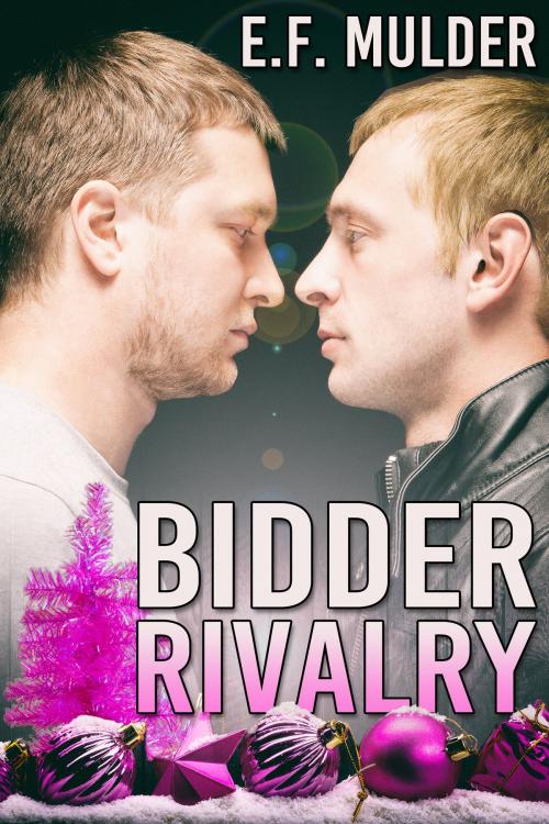Cover of the book Bidder Rivalry by E.F. Mulder, JMS Books LLC