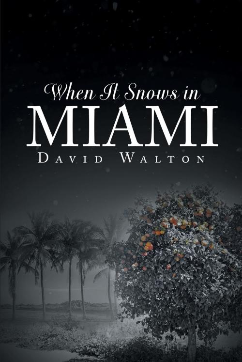 Cover of the book When It Snows In Miami by David Walton, Christian Faith Publishing