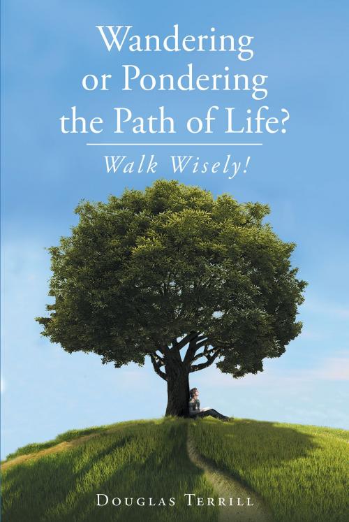 Cover of the book Wandering Or Pondering The Path Of Life? by Douglas Terrill, Christian Faith Publishing